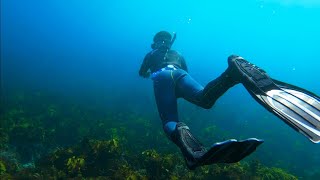 Spearfishing Kiama South Coast NSW [upl. by Anuala372]