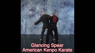 Glancing Spear American Kenpo Karate [upl. by Adeehsar]