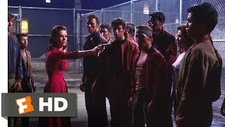 West Side Story 1010 Movie CLIP  Killed By Hate 1961 HD [upl. by Einnoc]