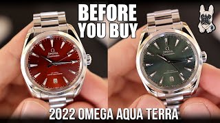 FINALLY NEW 2022 Omega Aqua Terra 38mm  Watch Review [upl. by Sassan403]