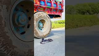 Road per Nag nagin tractor trali ke aage shortvideo Nagnagin shorts [upl. by Mairem]