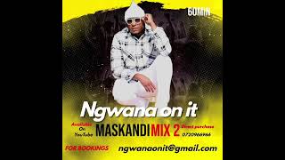 Ngwana on it  Maskandi mix 2 [upl. by Elatnahs]