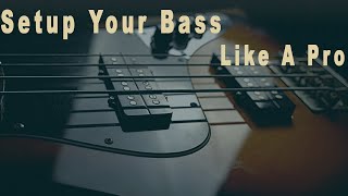 Setting Up Your Bass Like a Pro Fender Jazz Bass Edition [upl. by Dumond]