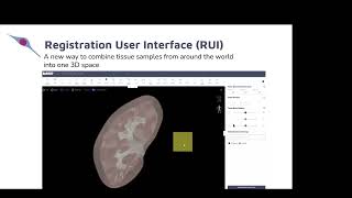 Mapping the Human Body at SingleCell Resolution Developing the Human Reference Atlas [upl. by Attevaj515]