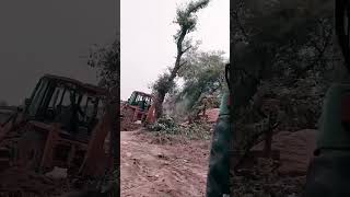 JCB uproot trees for road making process jcb machine tree short shorts [upl. by Hadleigh687]