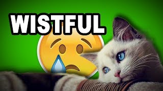 😿 Learn English Words WISTFUL  Meaning Vocabulary with Pictures and Examples [upl. by Madi93]