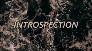 Siljan  Introspection Full Album [upl. by Nesto]