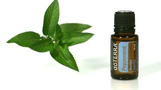 doTERRA® Peppermint Oil Uses and Benefits [upl. by Ynaffital]