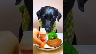 dogfood pets funny labrador animallover doglover dogvlog viralvideo shorts [upl. by Parrie]