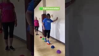 SilverSneakers Stability Classes at the MOCH Wellness Center [upl. by Hartman]