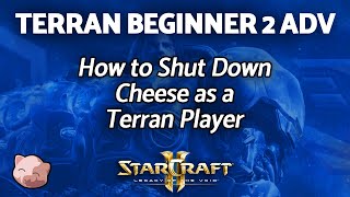 How to Shut Down Cheese as a Terran Player  Beginners 2 Plat  StarCraft 2 [upl. by Three]