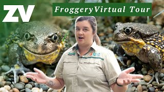 Tour the Healesville Sanctuary Froggery and meet the Southern Giant Burrowing Frog [upl. by Attenaz]