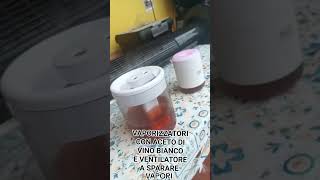 UMIDIFICATORE VAPORIZZATORE CON ACETO DI VINO BIANCO E UN VENTILATORE A SPARARE I VAPORI [upl. by Melone]