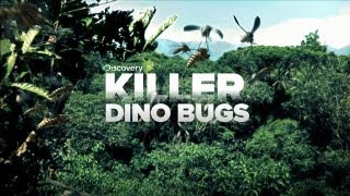 KILLER Dinosaur Bugs [upl. by Darren]