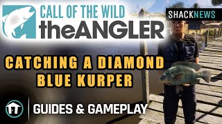 Catching a Diamond Blue Kurper in Call of the Wild The Anglers South Africa Reserve [upl. by Melton]