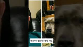 quotIncredible Rescue Dogs They Saved Me from an Attackquot [upl. by Talley]