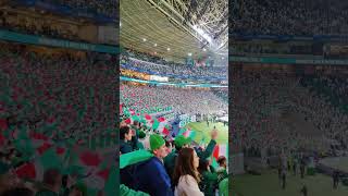 Festa da torcida Palmeiras x Corinthians palmeiras corinthians manchaverde futebol react [upl. by Randal372]