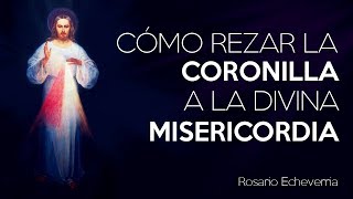 Cómo rezar la Coronilla a la Divina Misericordia [upl. by Ayana]