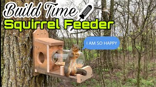 HOW TO BUILD A SQUIRREL FEEDER Jerry The Adorable Squirrel Is Going To Love This [upl. by Friede]