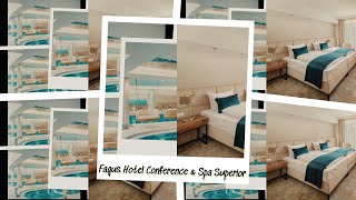 Fagus Hotel Conference amp Spa  4 Hotel Fagus – Sopron  Hungary [upl. by Lear]