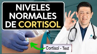 ¿Cortisol causa diabetes Descubre el nivel exacto [upl. by Rowe497]