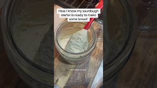 How to tell when your sourdoughstarter is ready to make some bread sourdoughbread breadmaker [upl. by Eanad]