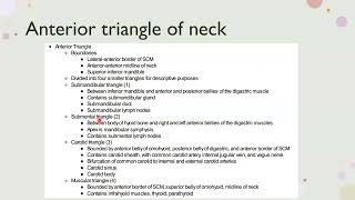 anterior triangle of Neck [upl. by Snilloc]