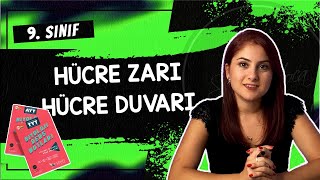 11 HÜCRE ZARI  HÜCRE DUVARI  9 SINIF  TYT BİYOLOJİ DERS NOTLARI  2024 [upl. by Aiveneg]