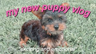 GETTING MY NEW YORKIE PUPPY puppy vlog [upl. by Suolhcin]