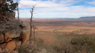 Bunnik Tours Australia  Flinders Ranges with the SA Experts [upl. by Eilime]