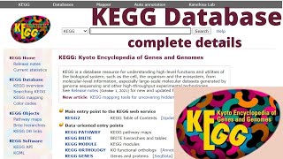 KEGG Kyoto Encyclopedia of Genes and Genomes database [upl. by Judye]