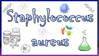 Staphylococcus aureus  Diseases Clinical Presentation Virulence Factors Diagnosis amp Treatment [upl. by Costin586]