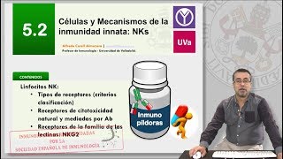 52 CÉLULAS Y MECANISMOS DE LA INMUNIDAD INNATA NKs [upl. by Anneehs706]