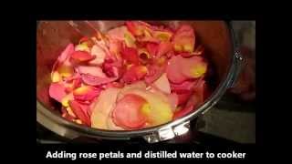 Rose Hydrosol Homemade Still Method [upl. by Ranjiv]