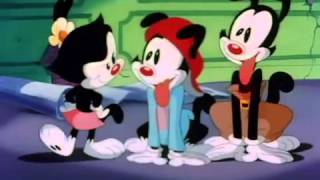 Animaniacs  Hola Enfermera [upl. by Ebaj202]