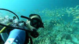 Zanzibar Scuba Diving 2021 [upl. by Wallford]