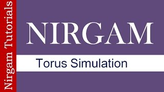 Torus Topology Simulation in Nirgam Simulator [upl. by Avis]