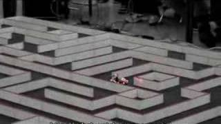 Mouse robots journey through the maze [upl. by Aliahs]