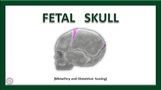 FETAL SKULL  Bones  Sutures  Diameters  Fontanels  Anatomy  OBG Lecture  The Nurses Station [upl. by Channing]