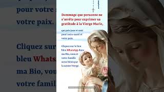 🇫🇷Dommage que personne ne sarrête pour exprimer sa gratitude à la Vierge Marie [upl. by Thia973]