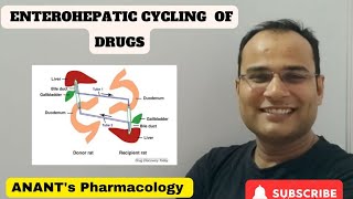 Enterohepatic Cycling of Drugs [upl. by Tirza]