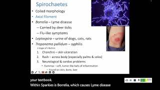 114 Nonproteobacteria and Archaea [upl. by Araiet]