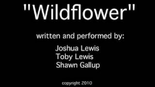 Wildflower Triathlon Song [upl. by Atiugram845]