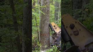 Just A Little Push hardwood hardwoodlogs loggers hardoodmanufacturer logging [upl. by Hinkel375]