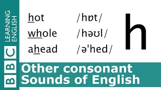 English Pronunciation 👄 Voiceless Consonant  h  hot whole and ahead [upl. by Koralie]