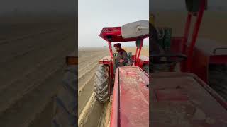 mf240 potatocultivation travelvideo mf260 potatofarming [upl. by Meakem]