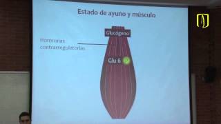 Estados metabólicos nutricionales  Bioquímica médica [upl. by Razec]