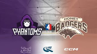 Phantoms v Honey Badgers  Div 4  9th October  IceHQ Rec League ice hockey [upl. by Alur877]