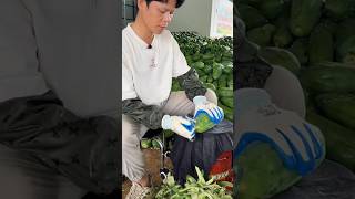 Turnover of millions from papaya cultivation 😱💯shorts youtubeshorts ytshorts shortvideo [upl. by Ednalrim731]