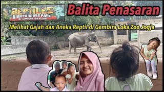 Balita Penasaran Melihat Gajah dan Aneka Reptil di Gembira Loka Zoo Jogja [upl. by Braynard]